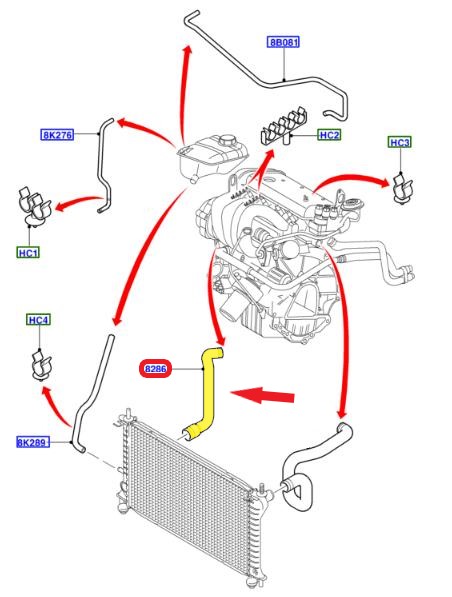 RADIATOR OUTLET HOSE