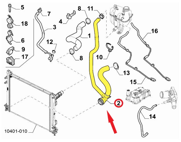 RADIATOR OUTLET HOSE