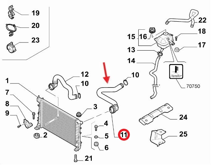 RADIATOR INLET HOSE