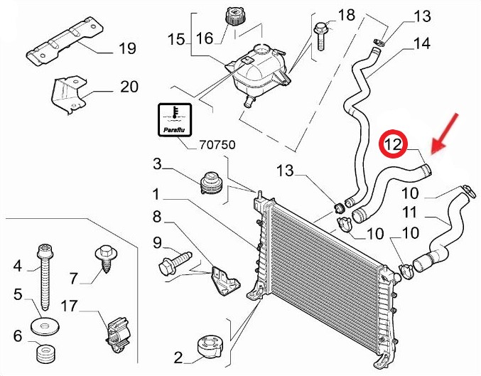 RADIATOR OUTLET HOSE