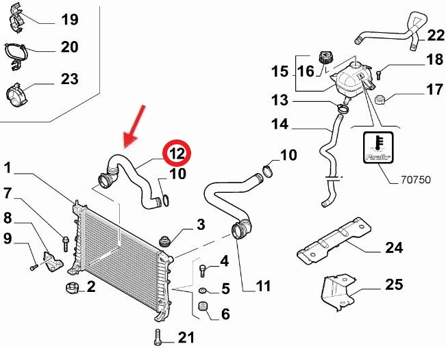 RADIATOR OUTLET HOSE