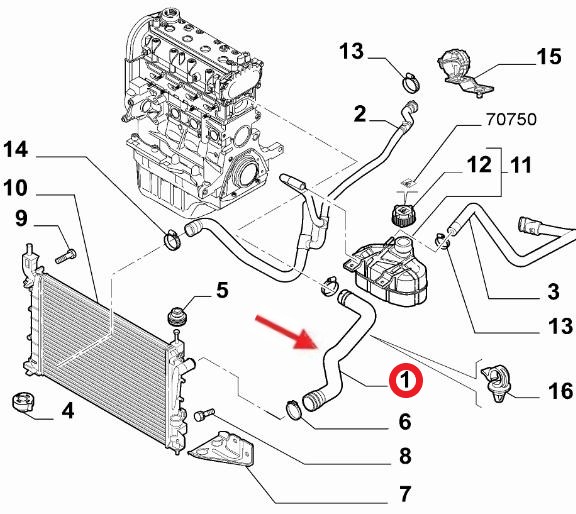 RADIATOR INLET HOSE
