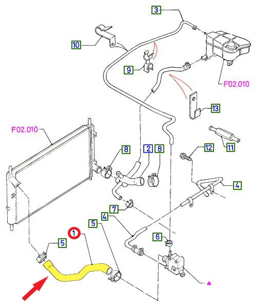 RADIATOR INLET HOSE